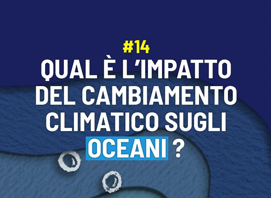 Qual è l’impatto del cambiamento climatico sugli oceani? - Risponde Alessio Ferrero