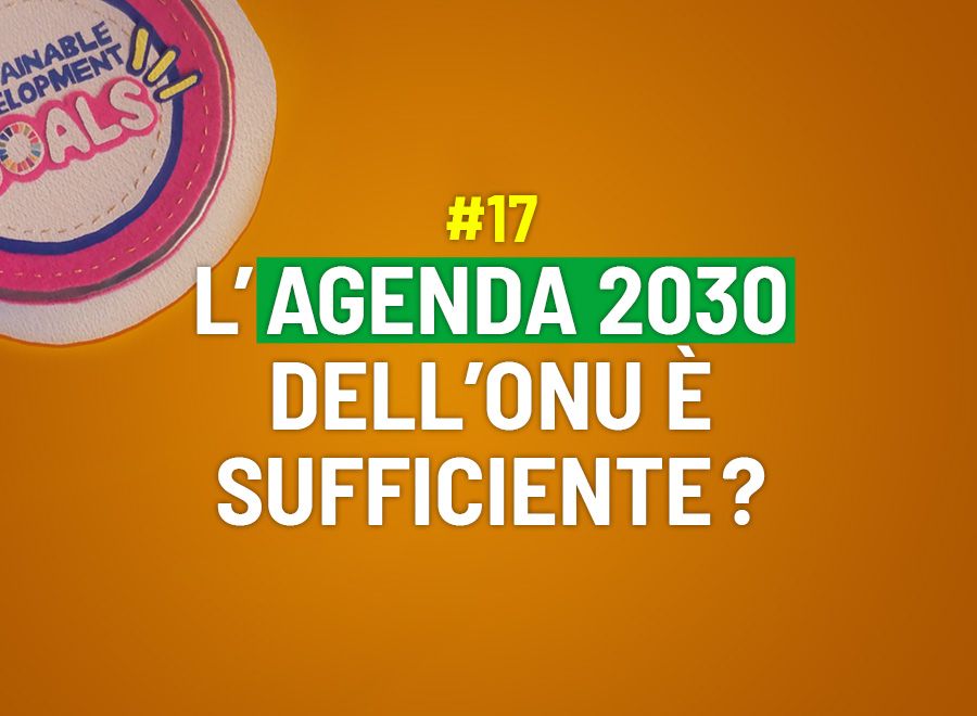 L’agenda 2030 dell’ONU è sufficiente?  - Risponde Laura Vallaro